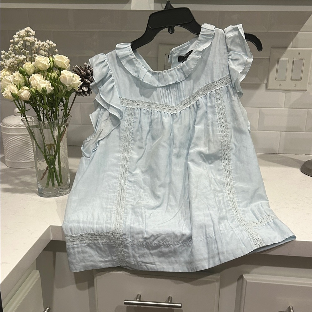 J. Crew Light Blue Ruffle Blouse
